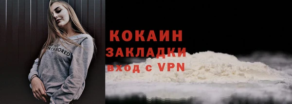 ALPHA PVP Богородицк