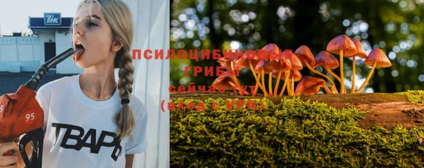 ALPHA PVP Богородицк