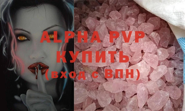 прущие грибы Вязьма