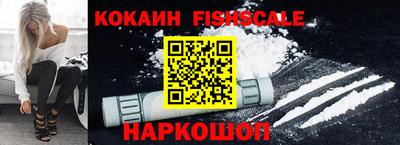 индика Обь