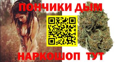 тгк Новозыбков