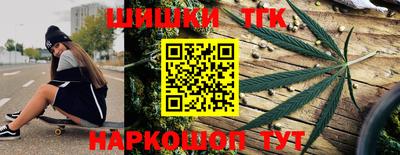 спиды Новодвинск