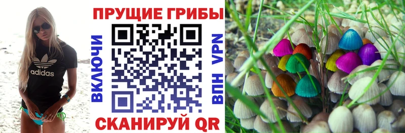 купить наркотики сайты Улан-Удэ Псилоцибиновые грибы Magic Shrooms
