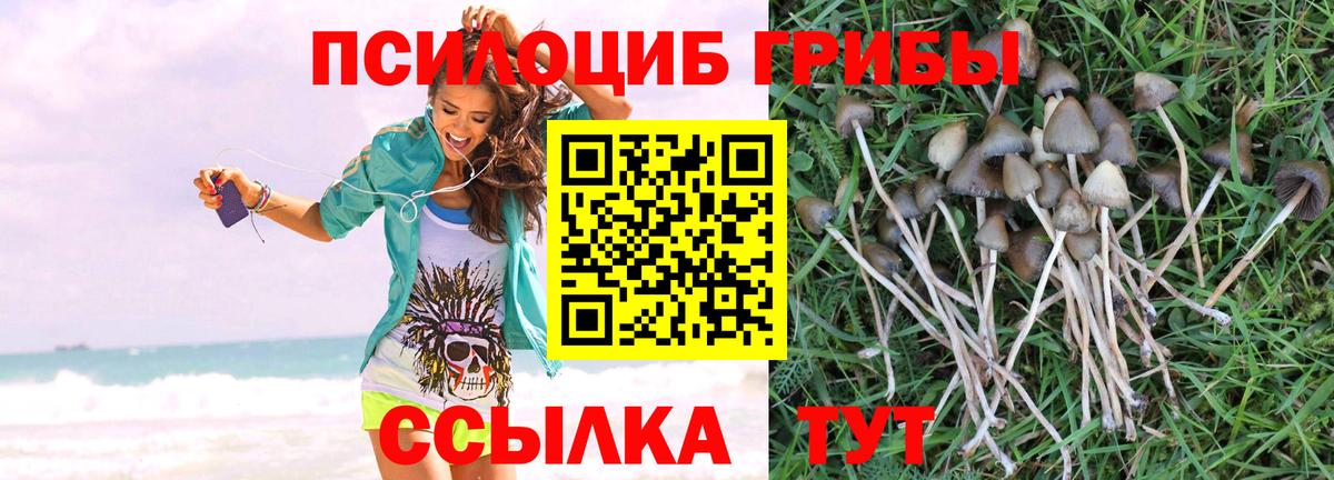 Улан-Удэ  Псилоцибиновые грибы ЛСД  Вход с VPN 